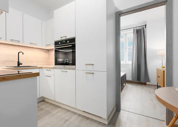 2 Bedrooms With Kitchen Near The Subway Appartement Praag
